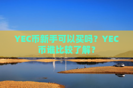 YEC币新手可以买吗？YEC币谁比较了解？