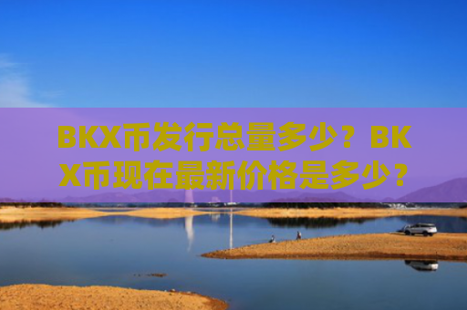 BKX币发行总量多少？BKX币现在最新价格是多少？