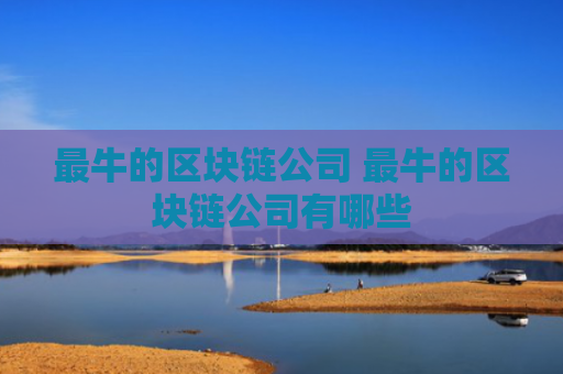 最牛的区块链公司 最牛的区块链公司有哪些