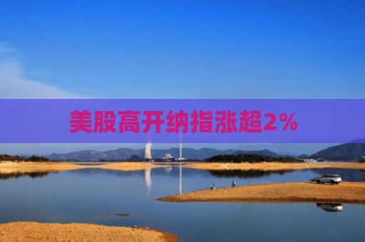 美股高开纳指涨超2%