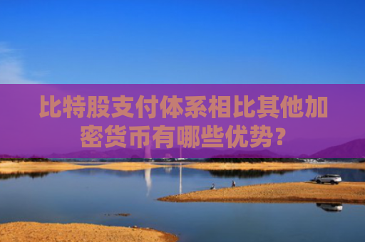 比特股支付体系相比其他加密货币有哪些优势？