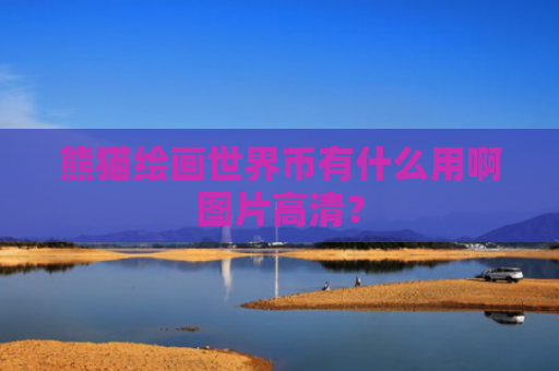 熊猫绘画世界币有什么用啊图片高清？