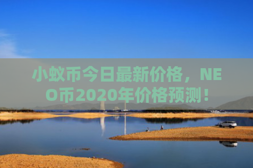 小蚁币今日最新价格，NEO币2020年价格预测！