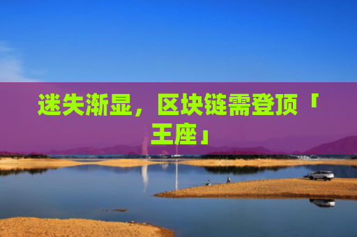 迷失渐显，区块链需登顶「王座」