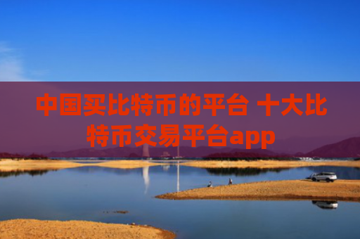 中国买比特币的平台 十大比特币交易平台app