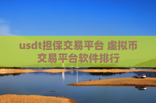 usdt担保交易平台 虚拟币交易平台软件排行