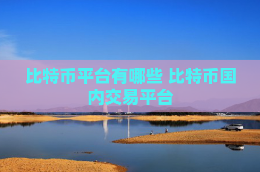 比特币平台有哪些 比特币国内交易平台