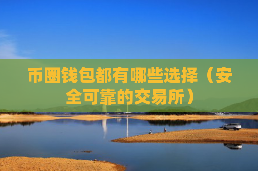 币圈钱包都有哪些选择（安全可靠的交易所）