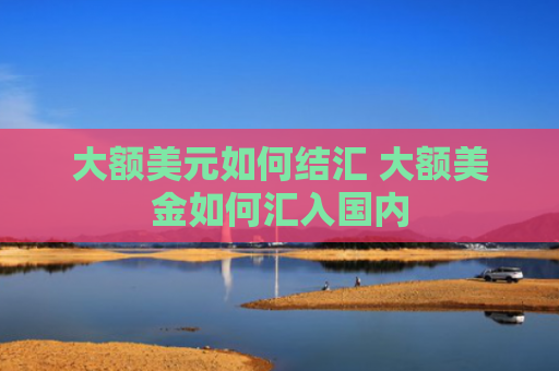 大额美元如何结汇 大额美金如何汇入国内