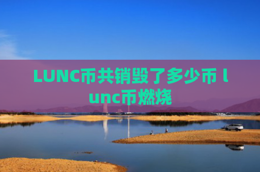 LUNC币共销毁了多少币 lunc币燃烧