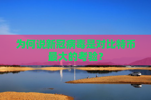 为何说新冠病毒是对比特币最大的考验？