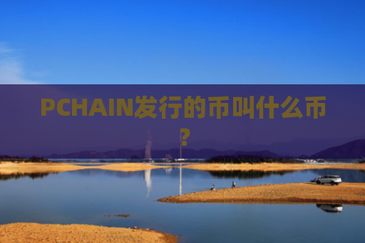 PCHAIN发行的币叫什么币？