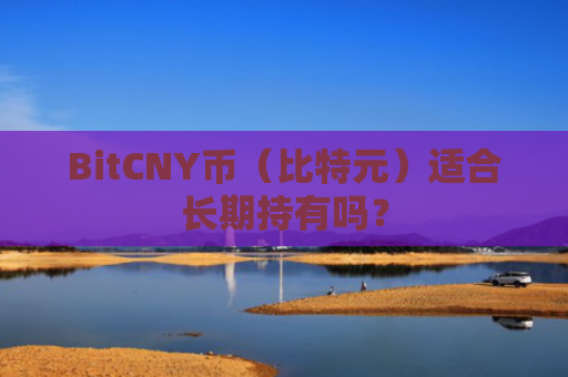 BitCNY币（比特元）适合长期持有吗？