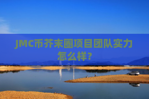 JMC币芥末圈项目团队实力怎么样？