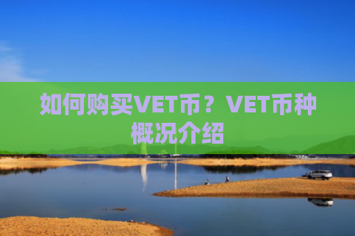 如何购买VET币？VET币种概况介绍