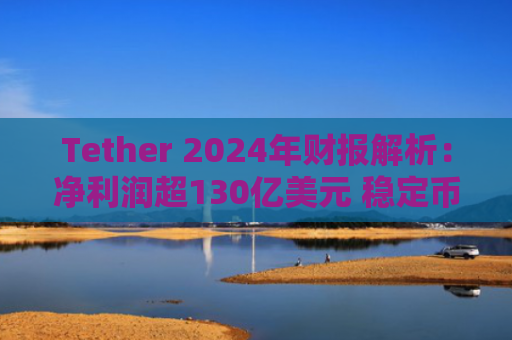 Tether 2024年财报解析：净利润超130亿美元 稳定币市场领导者