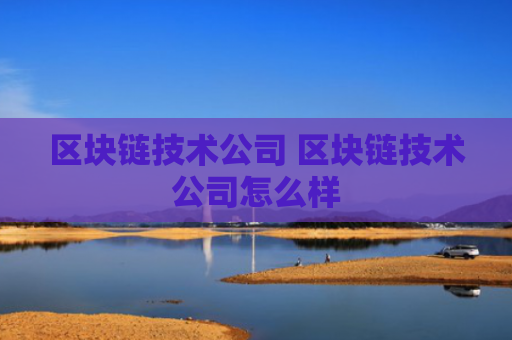 区块链技术公司 区块链技术公司怎么样