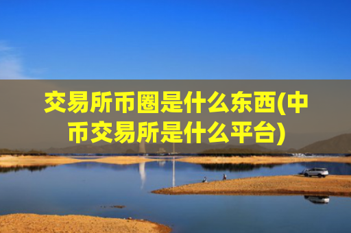 交易所币圈是什么东西(中币交易所是什么平台)