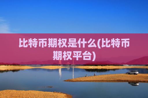 比特币期权是什么(比特币期权平台)