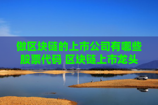 做区块链的上市公司有哪些股票代码 区块链上市龙头公司是哪家