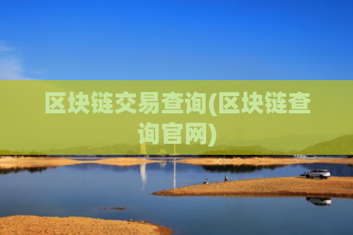 区块链交易查询(区块链查询官网)
