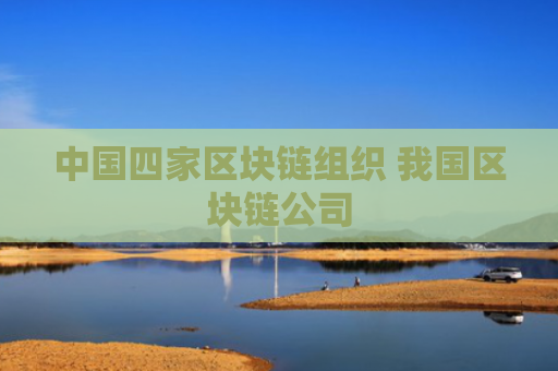 中国四家区块链组织 我国区块链公司