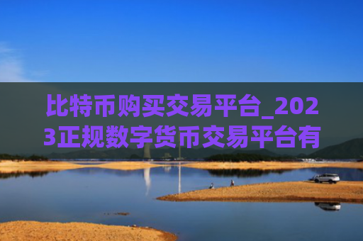 比特币购买交易平台_2023正规数字货币交易平台有哪些