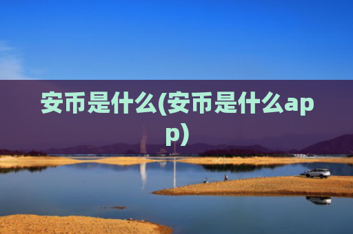 安币是什么(安币是什么app)