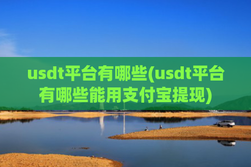 usdt平台有哪些(usdt平台有哪些能用支付宝提现)