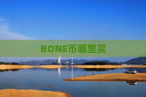 BONE币哪里买