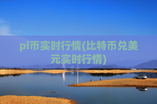 pi币实时行情(比特币兑美元实时行情)