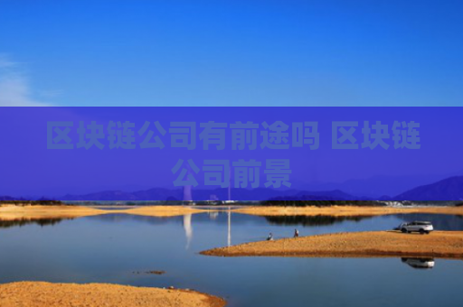 区块链公司有前途吗 区块链公司前景