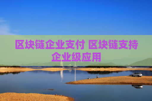 区块链企业支付 区块链支持企业级应用