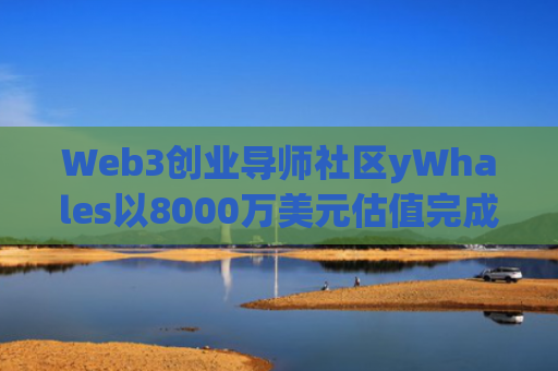 Web3创业导师社区yWhales以8000万美元估值完成500万美元种子轮融资