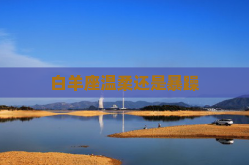 白羊座温柔还是暴躁