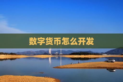 数字货币怎么开发