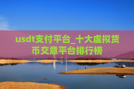 usdt支付平台_十大虚拟货币交意平台排行榜
