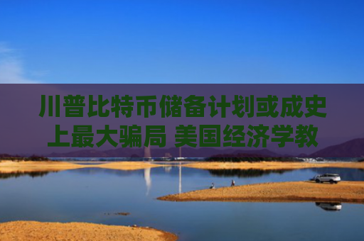 川普比特币储备计划或成史上最大骗局 美国经济学教授深度解析