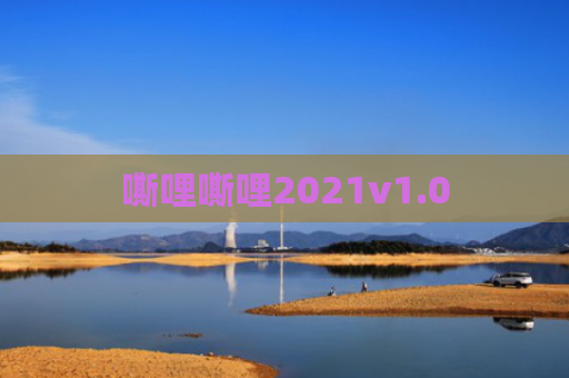 嘶哩嘶哩2021v1.0