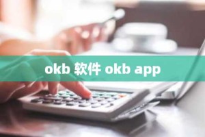 okb 软件 okb app
