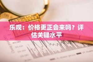 乐观：价格更正会来吗？评估关键水平