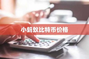 小蚂蚁比特币价格