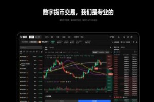 欧意交易所杠杆利息怎么算_欧意交易所杠杆利息怎么算的