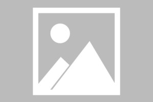 地铁跑酷锅铲同款定制版本下载-地铁跑酷锅铲同款定制版本游戏下载v4.03.0_天尚网