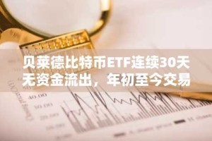 贝莱德比特币ETF连续30天无资金流出，年初至今交易量突破250亿美元创新高