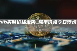 shib实时价格走势_屎币价格今日行情实时