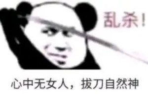 心中无女人拔刀自然神剑谱图片-剑谱第五页怒斩旧情人高清图片