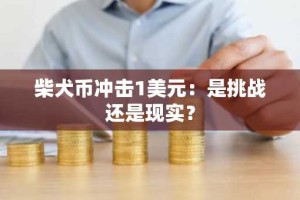 柴犬币冲击1美元：是挑战还是现实？