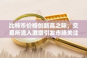 比特币价格创新高之际，交易所流入激增引发市场关注