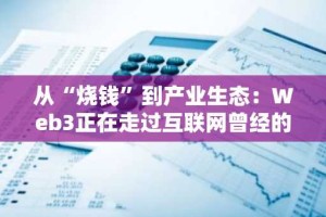 从“烧钱”到产业生态：Web3正在走过互联网曾经的老路。